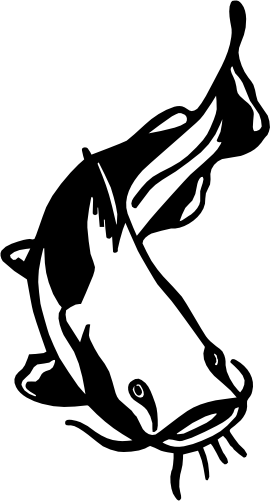 (s184-C) Catfish