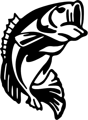 (s184-F) Striped Bass