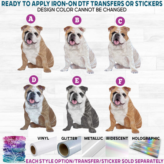 (s188-1) Watercolor Dogs English Bulldog 6 Colors Printed Heat Transfer or Sticker