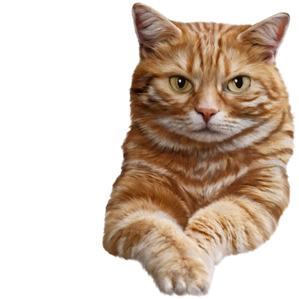 (s188-29-1N) Stitting Cat 8 Color Options