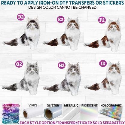 (s188-9) Watercolor Cats Cat Kitty Kitten 4 Printed Heat Transfer or Sticker
