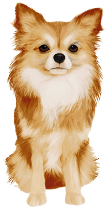 (s188-7-1A) Watercolor Chihuhua 5 Colors