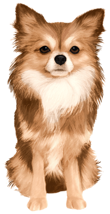 (s188-7-1A) Watercolor Chihuhua 5 Colors