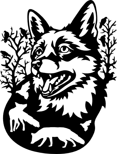 (s192-U) Fox Double Exposure