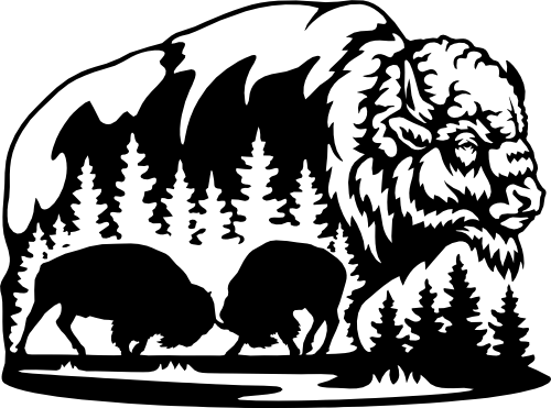 (s192-X) Buffalo Bison Double Exposure