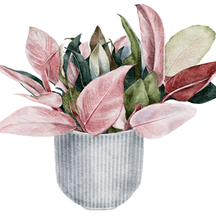 (196-01) Watercolor Houseplants Plants