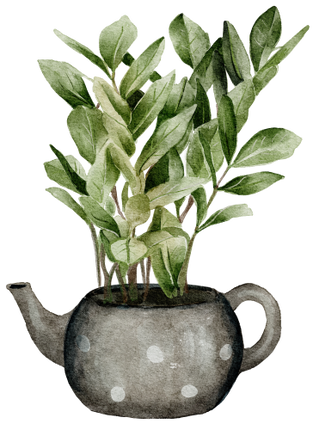 (196-01) Watercolor Houseplants Plants