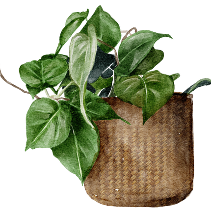 (196-01) Watercolor Houseplants Plants