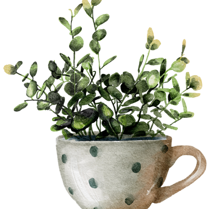 (196-01) Watercolor Houseplants Plants