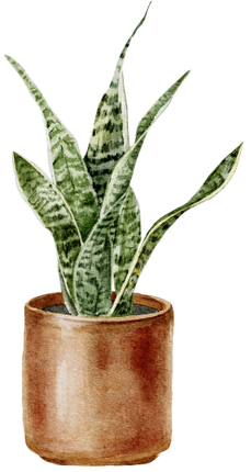 (196-01) Watercolor Houseplants Plants