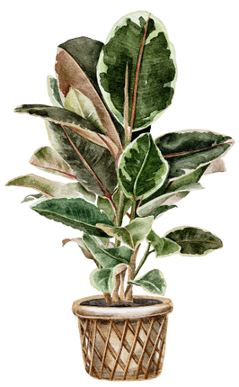 (196-01) Watercolor Houseplants Plants