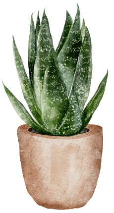 (196-01) Watercolor Houseplants Plants