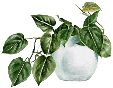 (196-01) Watercolor Houseplants Plants