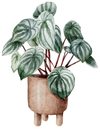 (196-01) Watercolor Houseplants Plants