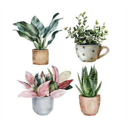 (s196) Set of 4 Watercolor Houseplants
