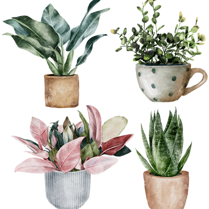 (196-S1) Set of 4 Watercolor Houseplants