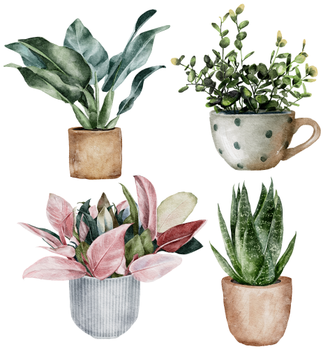 (196-S1) Set of 4 Watercolor Houseplants