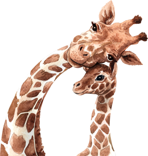 (s197-1-B) Mama & Baby Giraffe