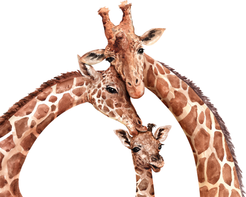 (s197-1-D) Giraffe Family