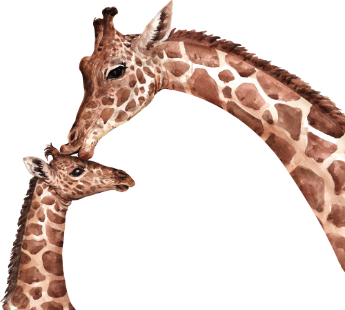 (s197-1-E) Mama & Baby Giraffe