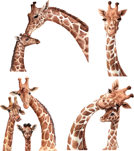 (s197-G1) Set of 4 Giraffes Giraffe Mom and Baby