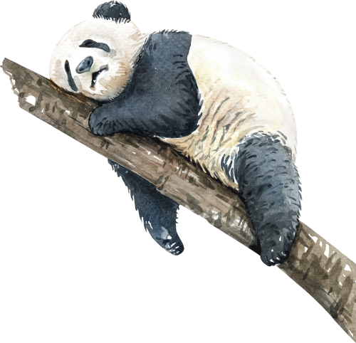 (s197-2-C) Sleeping Panda