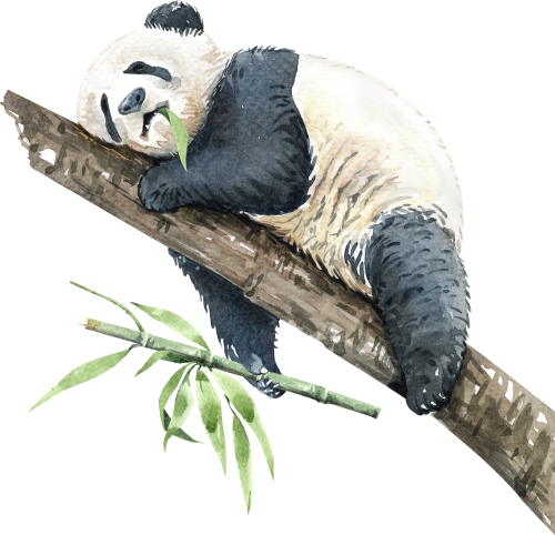 (s197-2-D) Sleeping Panda