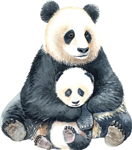 (s197-2-E) Mama & Baby Panda