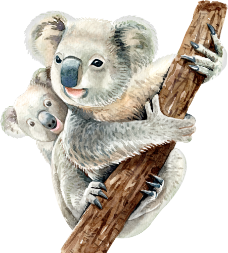 (s197-3-E) Mama & Baby Koala