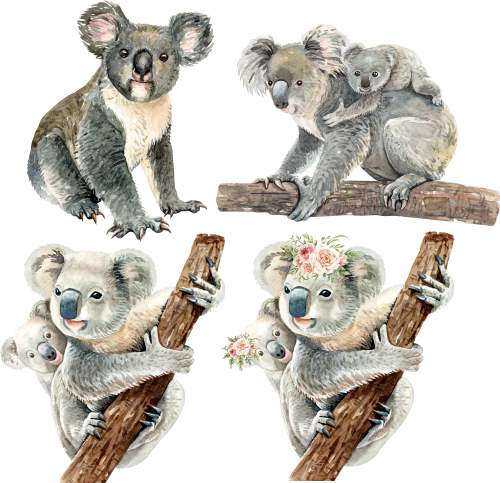 (s197-G3) Set of 4 Koalas Koala Mom and Baby