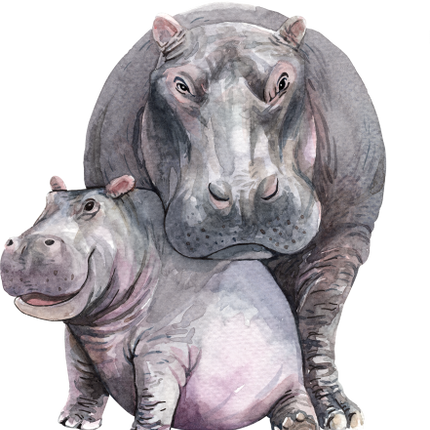 (s197-4-C) Mama & Baby Hippo