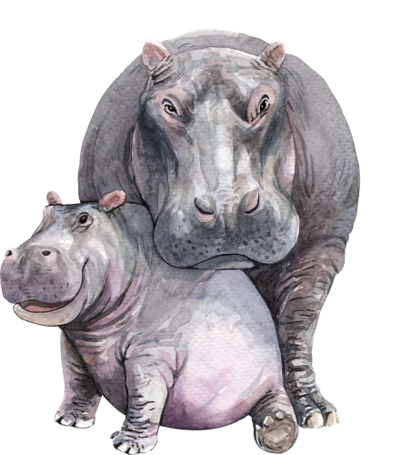 (s197-4-C) Mama & Baby Hippo