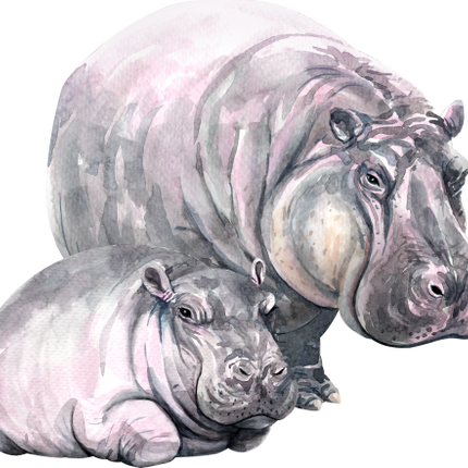 (s197-4-E) Mama & Baby Hippo