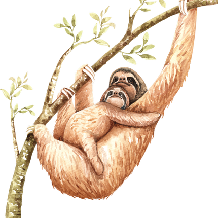 (s197-5-A) Mama & Baby Sloth