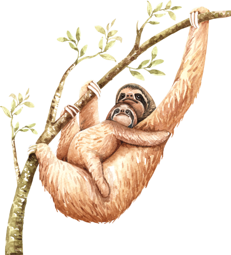 (s197-5-A) Mama & Baby Sloth