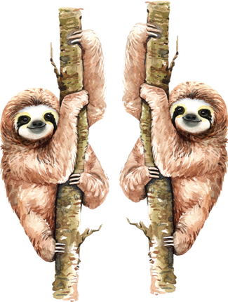 (s197-5-B) Sloths