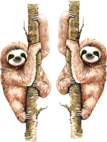 (s197-5-B) Sloths