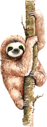 (s197-5-B) Sloths