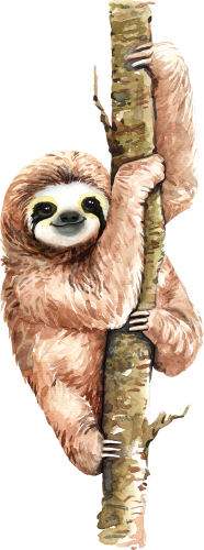 (s197-5-B) Sloths