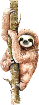 (s197-5-B) Sloths