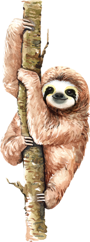 (s197-5-B) Sloths