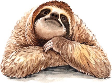 (s197-5-C) Sloth