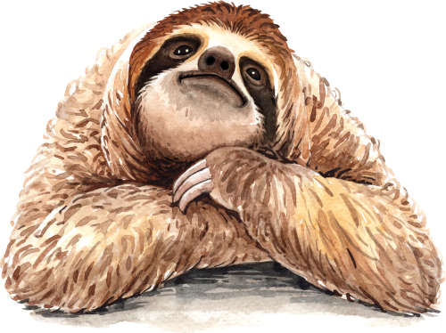 (s197-5-C) Sloth