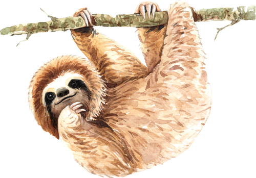 (s197-5-D) Hanging Sloth