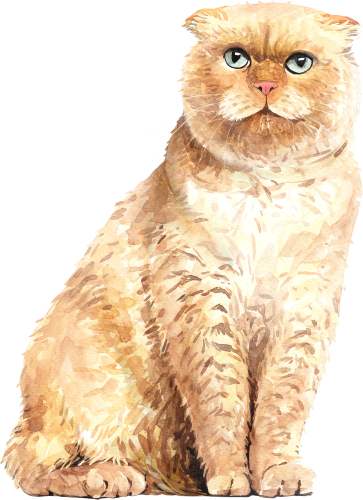 (s197-7-N) Watercolor Cat