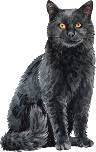 (s197-7-O) Watercolor Cat