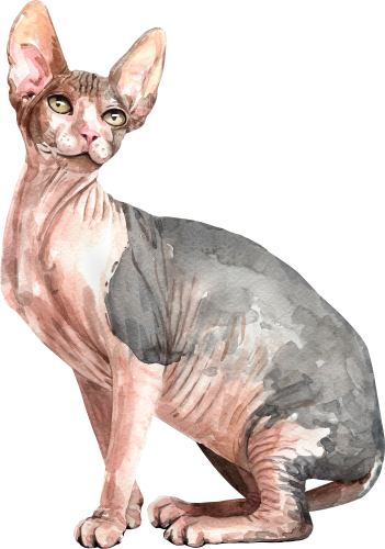 (s197-7-P) Watercolor Cat