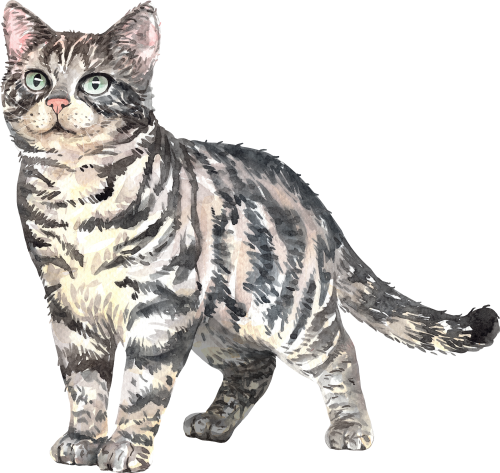 (s197-7-Q) Watercolor Cat