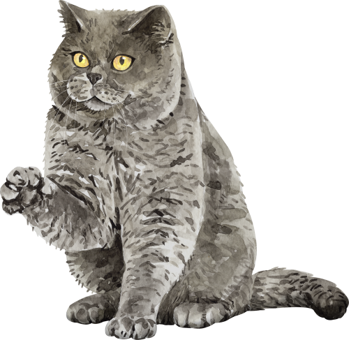 (s197-7-R) Watercolor Cat