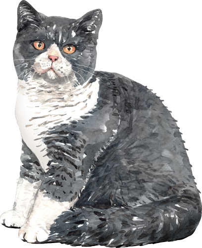 (s197-7-S) Watercolor Cat